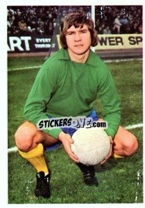Figurina David Lawson - The Wonderful World of Soccer Stars 1974-1975 n. 113 - FKS