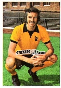 Sticker Derek Dougan - The Wonderful World of Soccer Stars 1974-1975 - FKS