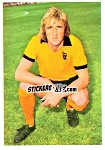 Cromo Derek Parkin - The Wonderful World of Soccer Stars 1974-1975 - FKS