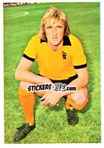 Sticker Derek Parkin - The Wonderful World of Soccer Stars 1974-1975 n. 315 - FKS