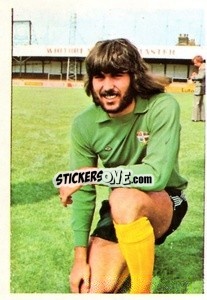 Sticker Graham Horn - The Wonderful World of Soccer Stars 1974-1975 - FKS
