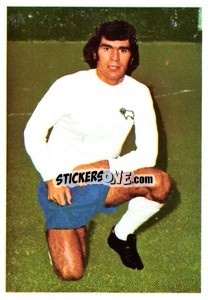 Cromo Henry Newton - The Wonderful World of Soccer Stars 1974-1975 - FKS