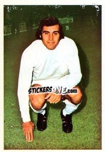Cromo Peter Shilton - The Wonderful World of Soccer Stars 1974-1975 - FKS