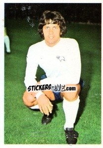 Sticker Ron Webster - The Wonderful World of Soccer Stars 1974-1975 - FKS
