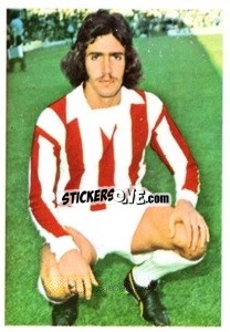 Sticker Sean Haslegrave - The Wonderful World of Soccer Stars 1974-1975 - FKS