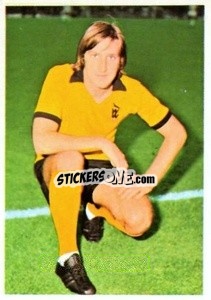 Cromo Steve Daley - The Wonderful World of Soccer Stars 1974-1975 - FKS