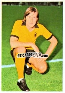 Sticker Steve Daley - The Wonderful World of Soccer Stars 1974-1975 n. 307 - FKS