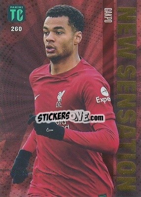 Sticker Cody Gakpo - Top Class 2023 n. 260 - Panini