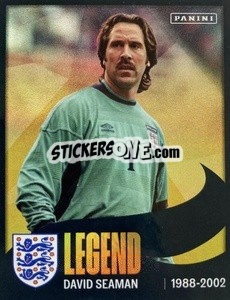 Figurina David Seaman - One England - Panini