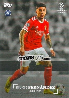 Sticker Enzo Fernandez