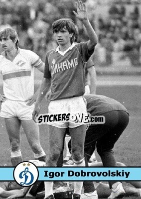 Sticker Igor Dobrovolskiy - Our Football Legends
 - Artball