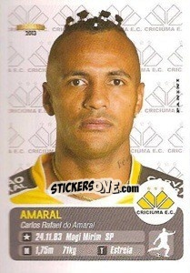 Sticker Amaral - Campeonato Brasileiro 2013 - Panini