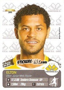 Sticker Elton - Campeonato Brasileiro 2013 n. 106 - Panini
