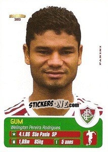 Cromo Gum - Campeonato Brasileiro 2013 - Panini