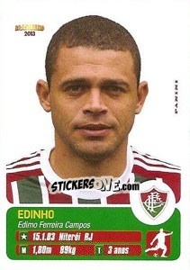 Sticker Edinho - Campeonato Brasileiro 2013 - Panini