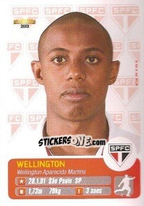 Sticker Wellington - Campeonato Brasileiro 2013 n. 283 - Panini