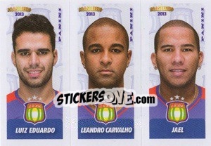 Cromo L.Eduardo / L.Carvalho / Jael - Campeonato Brasileiro 2013 - Panini