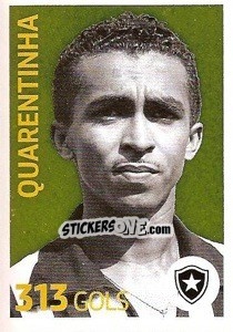 Cromo Quarentinha (Botafogo) - Campeonato Brasileiro 2013 - Panini