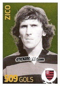 Sticker Zico (Flamengo) - Campeonato Brasileiro 2013 n. A11 - Panini
