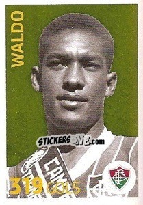Sticker Waldo (Fluminense) - Campeonato Brasileiro 2013 n. a12 - Panini