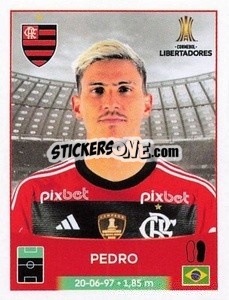 Sticker Pedro - Conmebol Copa Libertadores 2023
 - Panini