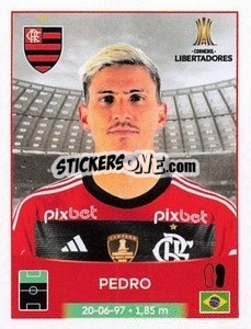Sticker Pedro - Conmebol Copa Libertadores 2023 n. 34 - Panini