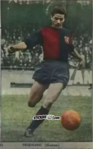 Sticker Amleto Frignani - I Calciatori di Serie A 1959-1960 Album N.1
 n. 83 - S.E.S.S.
