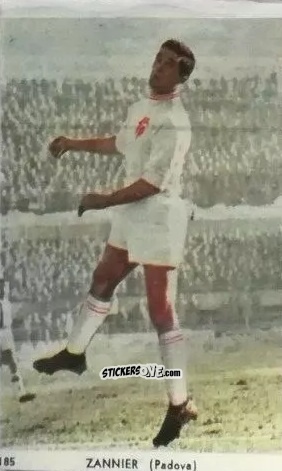 Sticker Luigi Zannier - I Calciatori di Serie A 1959-1960 Album N.1
 n. 185 - S.E.S.S.
