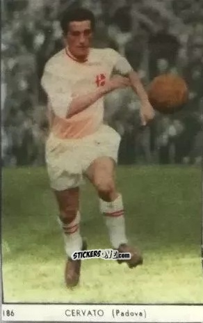 Sticker Cristiano Cervato - I Calciatori di Serie A 1959-1960 Album N.1
 n. 186 - S.E.S.S.
