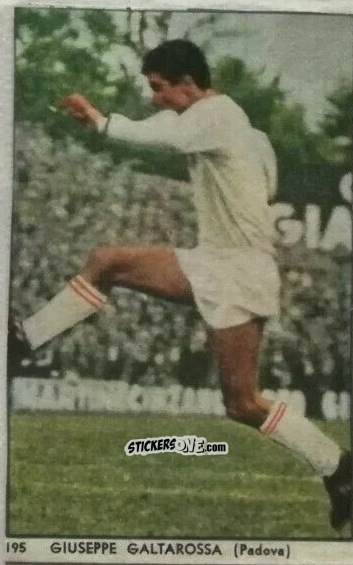 Sticker Giuseppe Galtarossa - I Calciatori di Serie A 1959-1960 Album N.1
 n. 195 - S.E.S.S.
