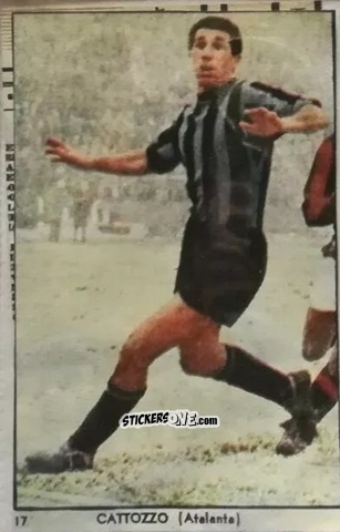 Sticker Giovanni Cattozzo - I Calciatori di Serie A 1959-1960 Album N.1
 n. 17 - S.E.S.S.
