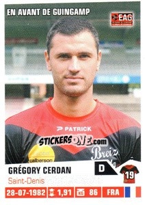 Cromo Gregory Cerdan - FOOT 2013-2014 - Panini