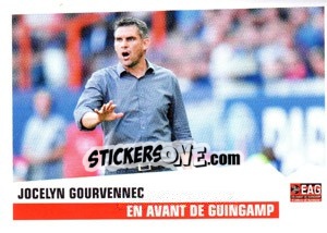 Cromo Jocelyn Gourvennec - FOOT 2013-2014 - Panini