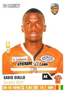 Cromo Sadio Diallo - FOOT 2013-2014 - Panini