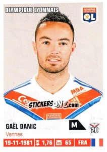 Sticker Gael Danic - FOOT 2013-2014 - Panini
