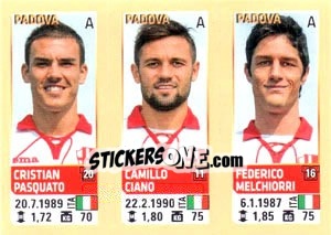 Sticker Pasquato / Ciano / Melchiorri - Calciatori 2013-2014 - Panini
