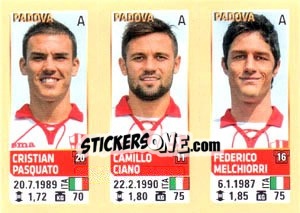 Cromo Pasquato / Ciano / Melchiorri - Calciatori 2013-2014 - Panini