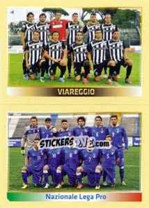 Sticker Squadra (Viareggio - Nazonale Lega Pro) - Calciatori 2013-2014 n. 804 - Panini