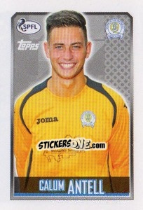 Sticker Calum Antell - Scottish Professional Football League 2013-2014 - Topps