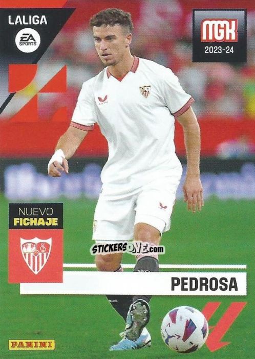Cromo Pedrosa