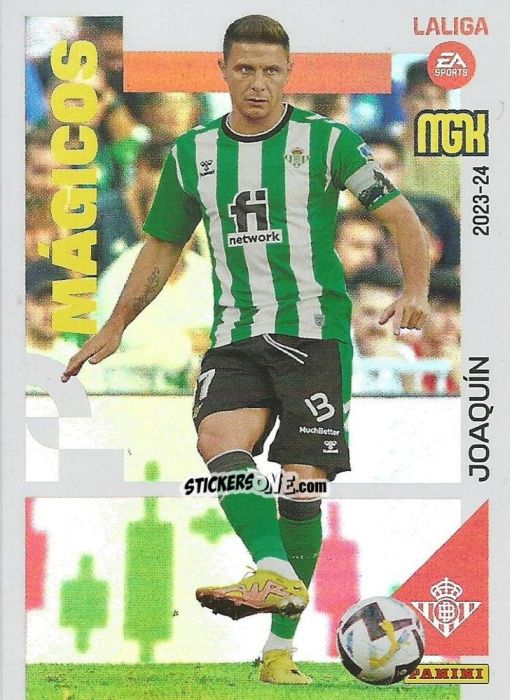 Cromo Joaquín