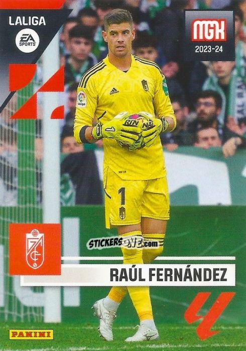 Cromo Raúl Fernández