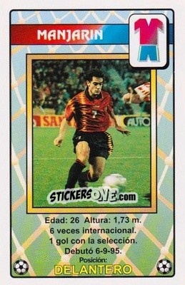 Sticker Manjarín - Juega con la Selección Española de fútbol 1996
 n. 21 - HERACLIO FOURNIER
