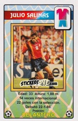 Sticker Julio Salinas - Juega con la Selección Española de fútbol 1996
 n. 22 - HERACLIO FOURNIER
