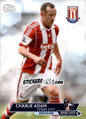 Sticker Charlie Adam - Premier Gold 2013-2014 n. 74 - Topps