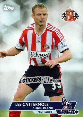 Sticker Lee Cattermole - Premier Gold 2013-2014 n. 88 - Topps