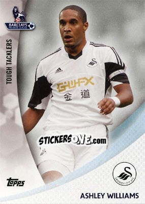 Sticker Ashley Williams - Premier Gold 2013-2014 n. TT-AW - Topps
