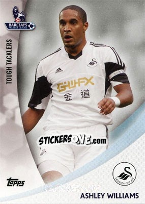 Cromo Ashley Williams - Premier Gold 2013-2014 - Topps