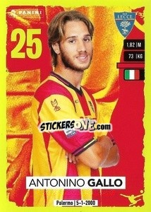 Cromo Antonino Gallo - Calciatori 2023-2024
 - Panini