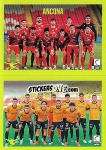 Cromo Squadra - Ancona / Arezzo - Calciatori 2023-2024
 - Panini